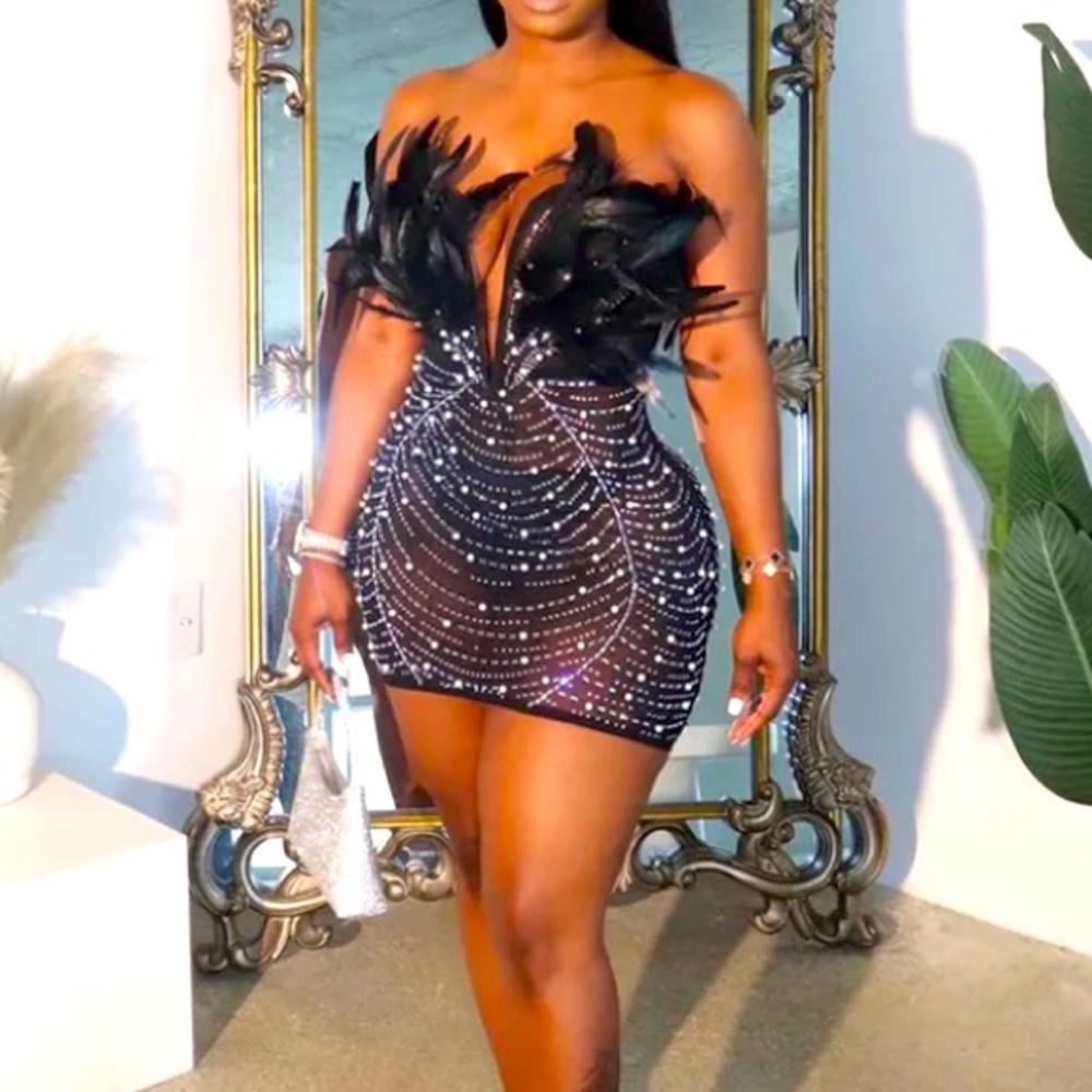 Elegant Elle Black Feathered Dress